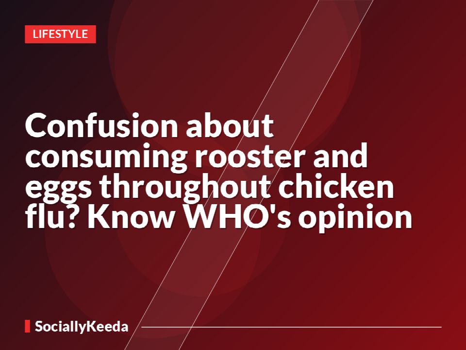 Confusion about consuming rooster and eggs throughout chicken flu? Know WHO's opinion