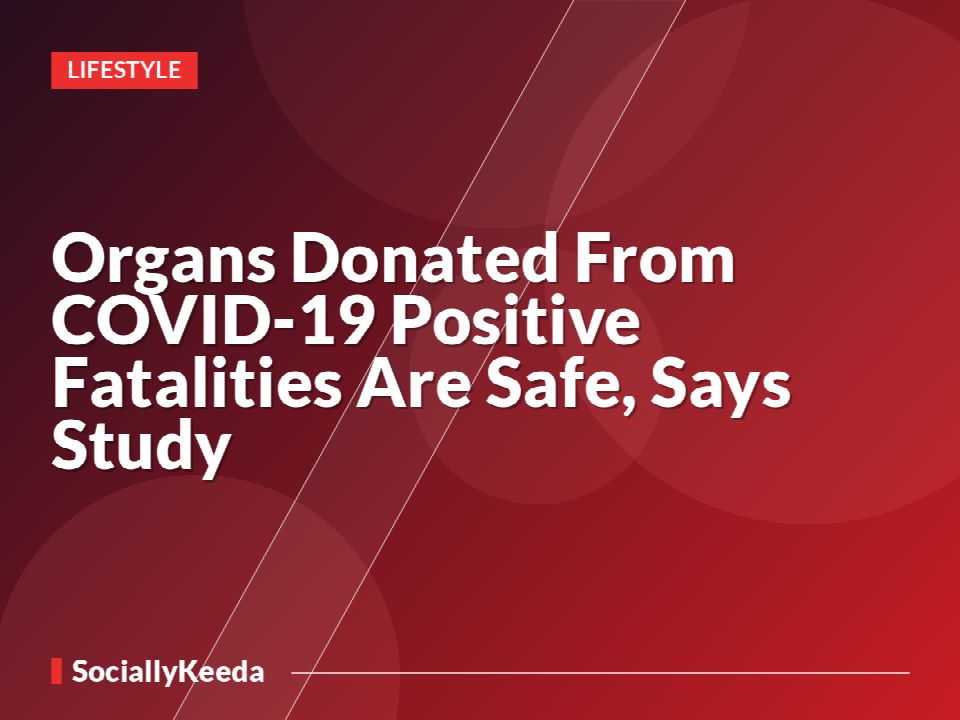 Organs Donated From COVID-19 Positive Fatalities Are Safe, Says Study