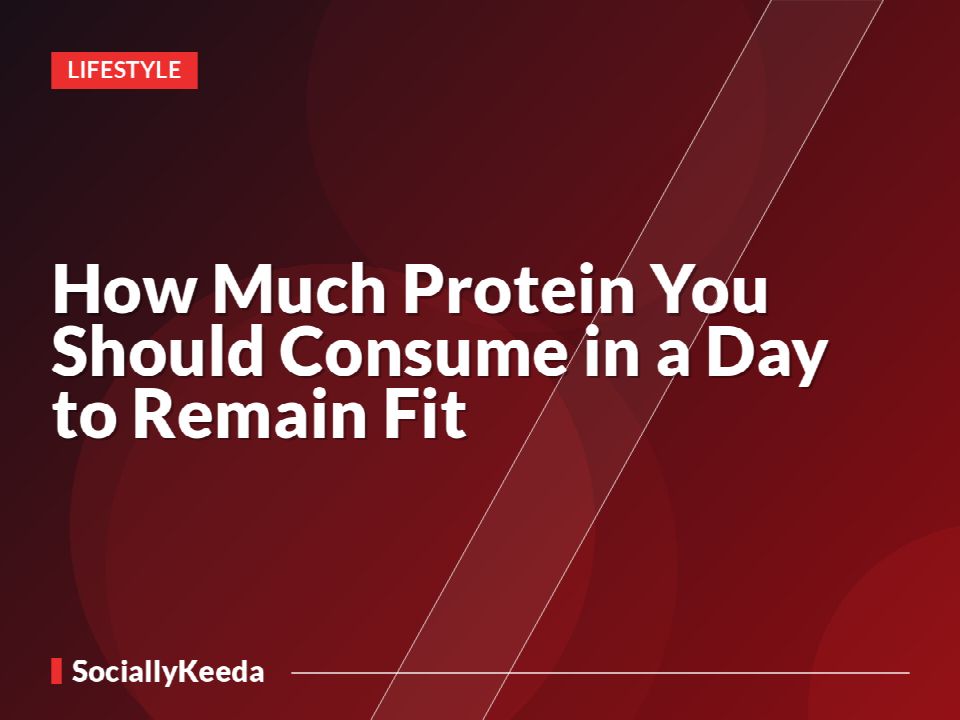 How Much Protein You Should Consume in a Day to Remain Fit