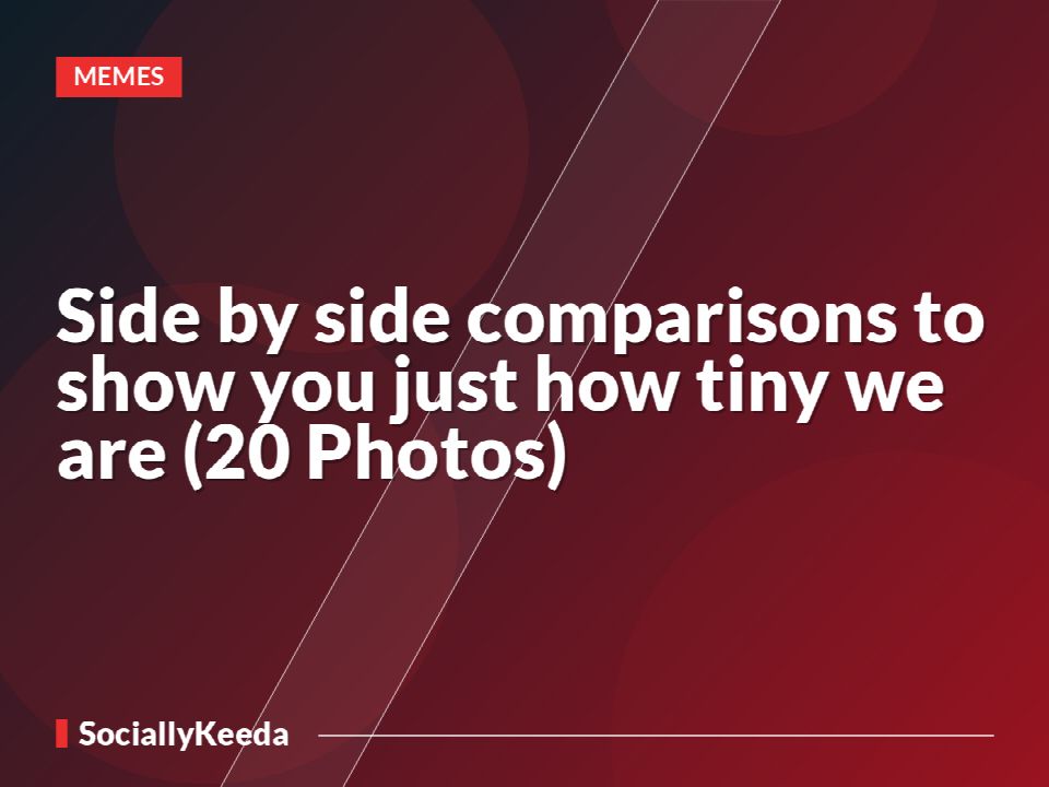 Side by side comparisons to show you just how tiny we are (20 Photos)