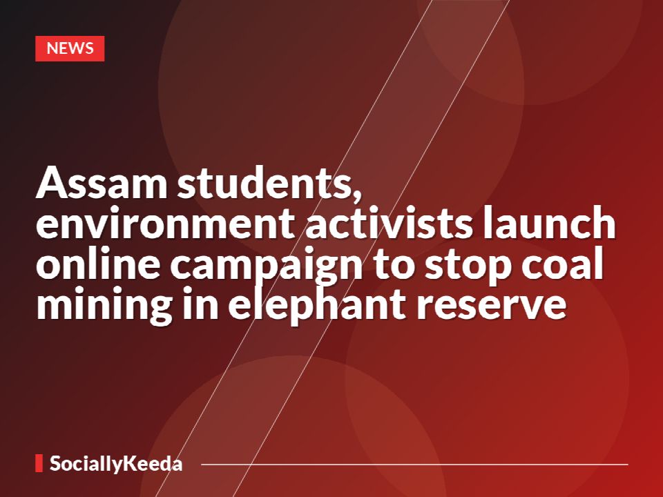 Assam students, environment activists launch online campaign to stop coal mining in elephant reserve