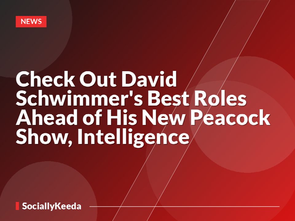Check Out David Schwimmer's Best Roles Ahead of His New Peacock Show, Intelligence