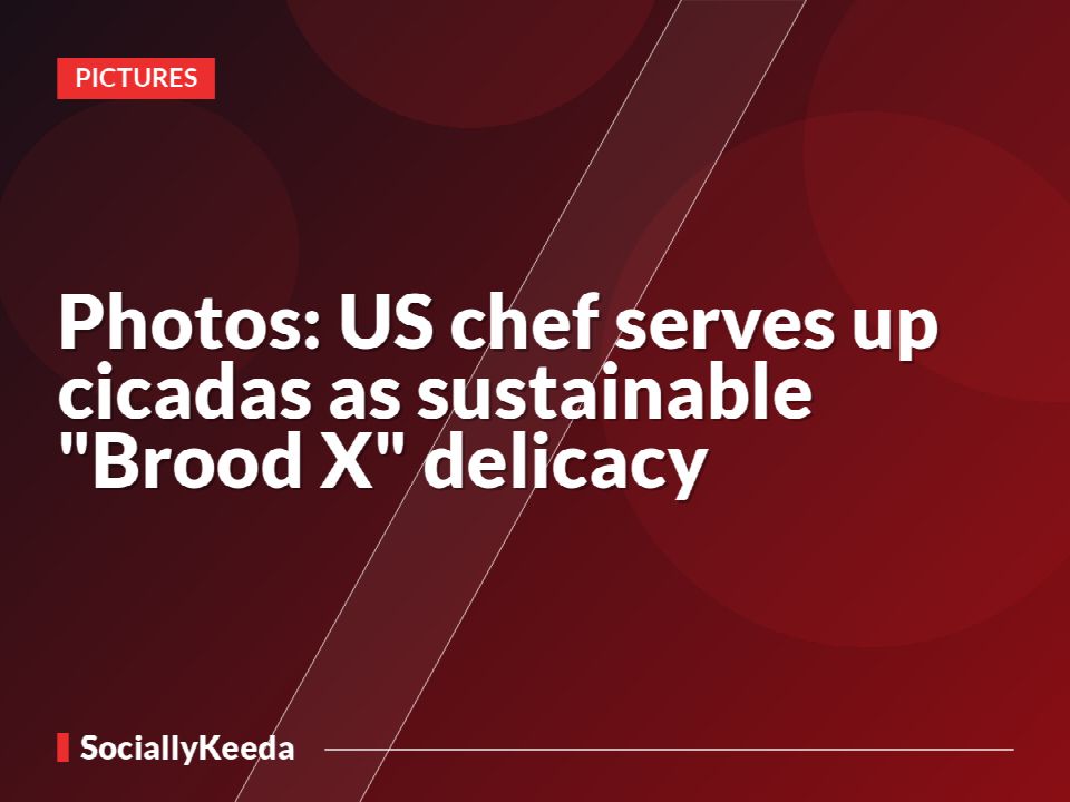 Photos: US chef serves up cicadas as sustainable "Brood X" delicacy