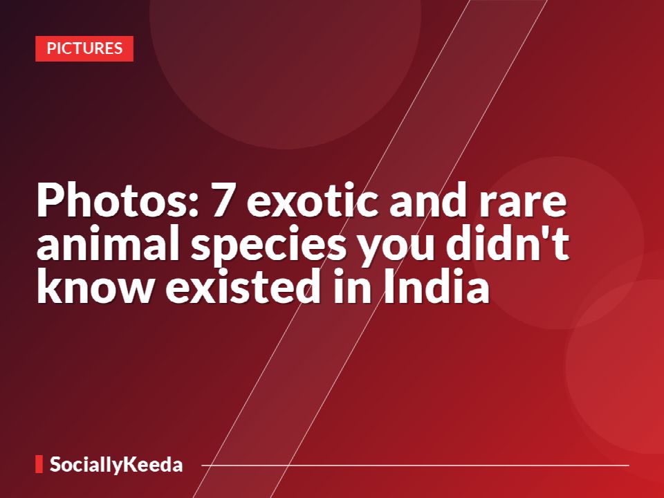 Photos: 7 exotic and rare animal species you didn't know existed in India