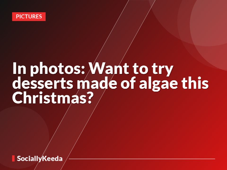 In photos: Want to try desserts made of algae this Christmas?