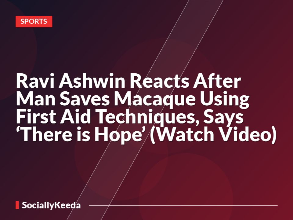 Ravi Ashwin Reacts After Man Saves Macaque Using First Aid Techniques, Says ‘There is Hope’ (Watch Video)