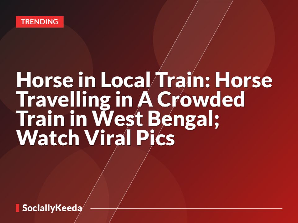 Horse in Local Train: Horse Travelling in A Crowded Train in West Bengal; Watch Viral Pics