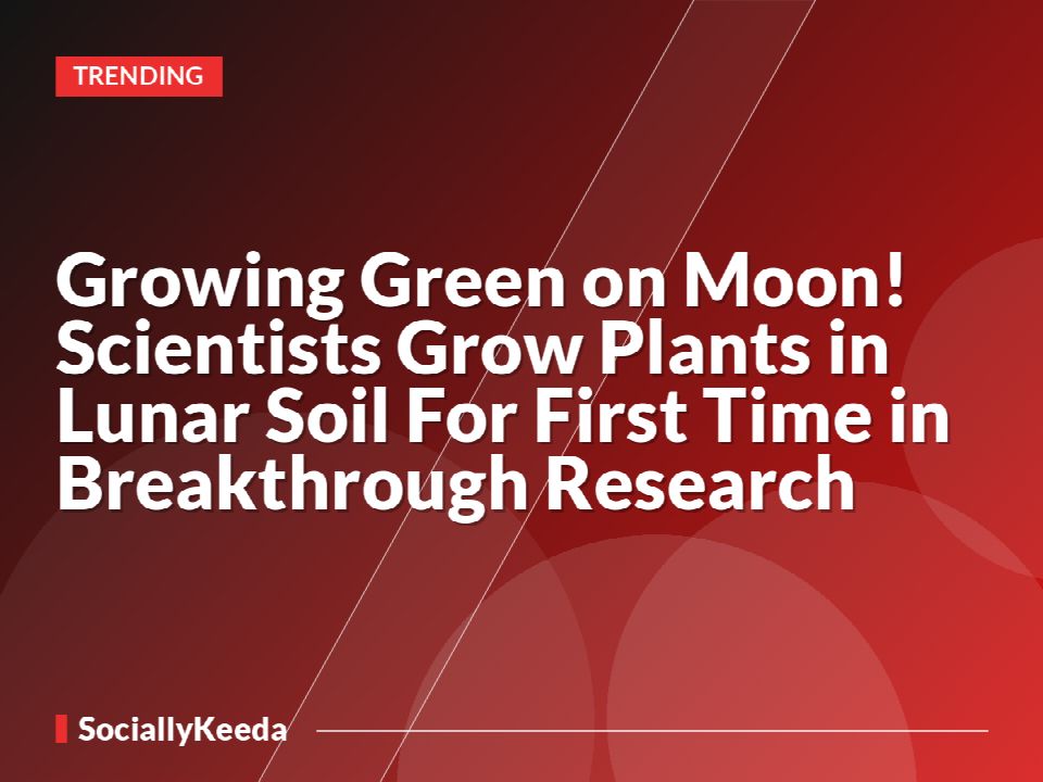 Growing Green on Moon! Scientists Grow Plants in Lunar Soil For First Time in Breakthrough Research