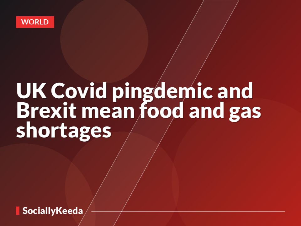 UK Covid pingdemic and Brexit mean food and gas shortages