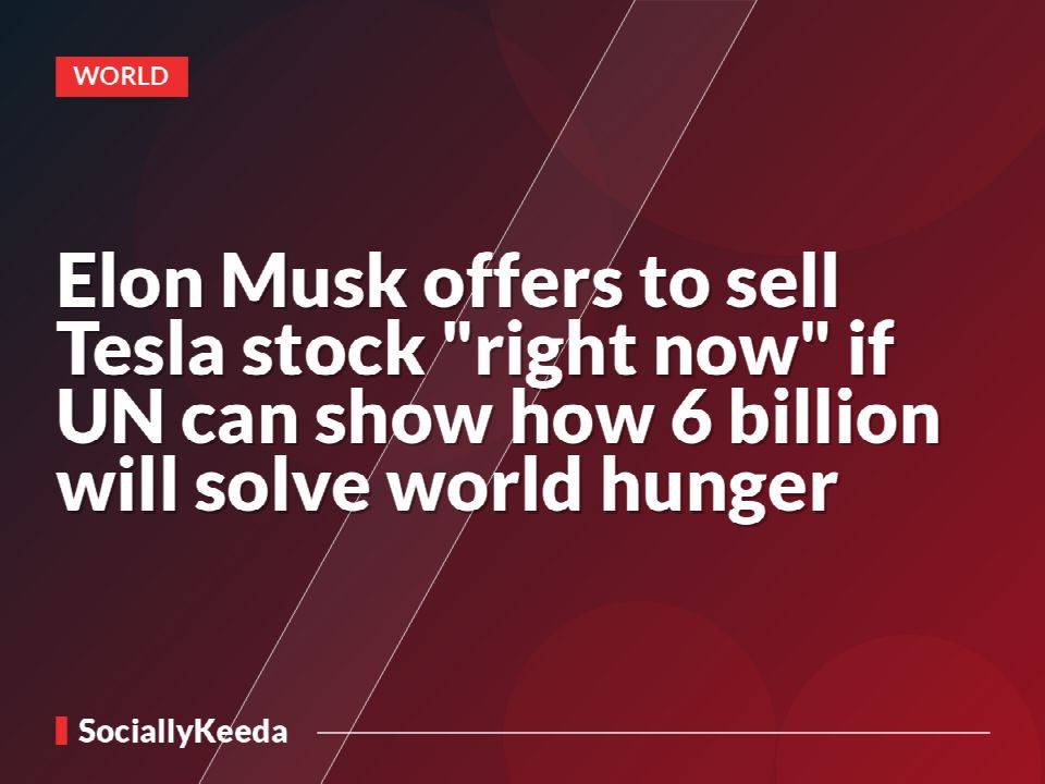 Elon Musk offers to sell Tesla stock "right now" if UN can show how $6 billion will solve world hunger