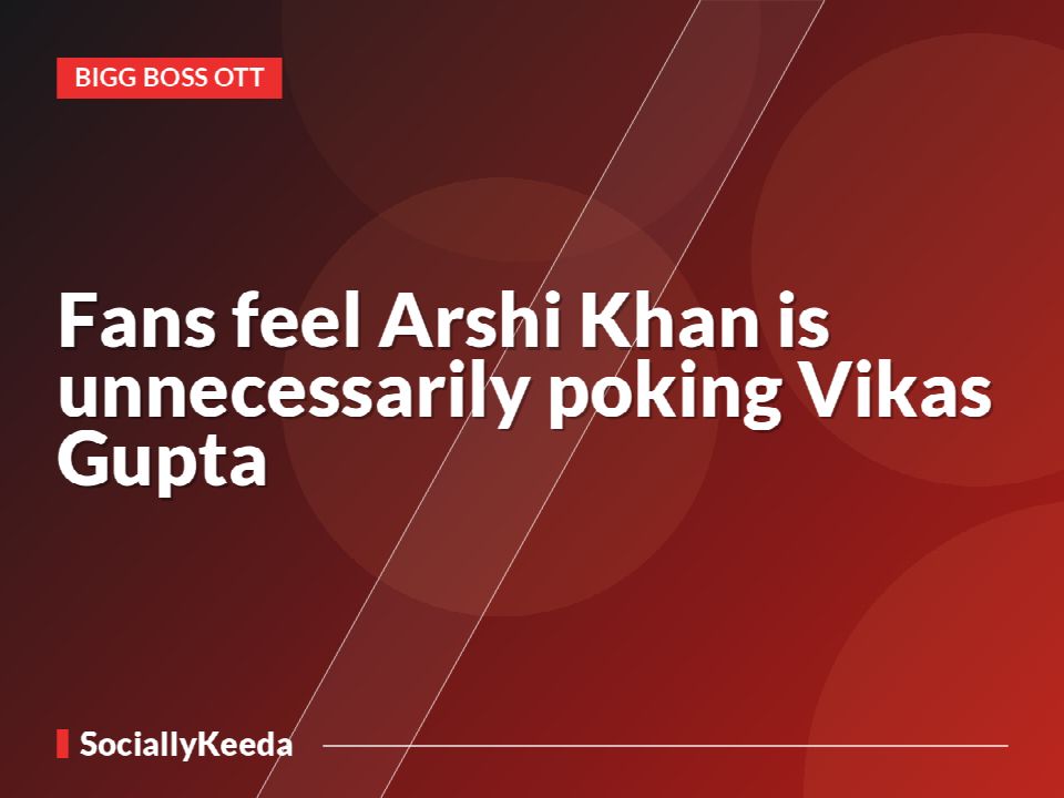 Fans feel Arshi Khan is unnecessarily poking Vikas Gupta