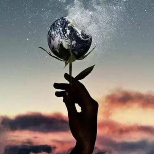 WhatsApp DP Images Cute