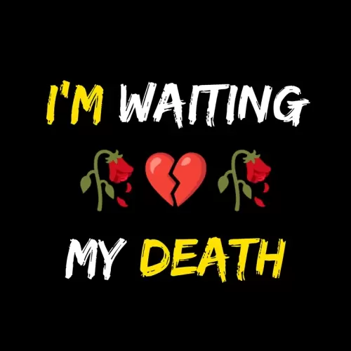 WhatsApp DP Images Cute