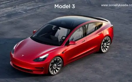 Elon Musk’s Tesla Hike Prices of Model 3 and Model Y for Rear Wheel Drive Variant in China