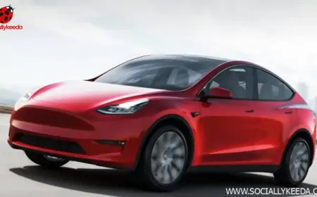 Elon Musk-Owned Tesla's Model Y Catches Fire While Driving in Canada: Report