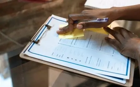 Create your CV easily and effectively with the help of us