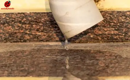 Is Plastic Leaking Into Your Bottled Water?