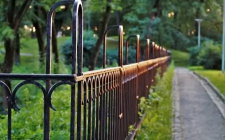 Best Strategies for Creating a Stunning Backyard