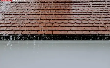 Roofing Services: Avoiding Unexpected Repairs in The Future