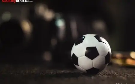 Mostbet's Live Betting Options: Real-Time Wagering on Your Favorite Sports Events