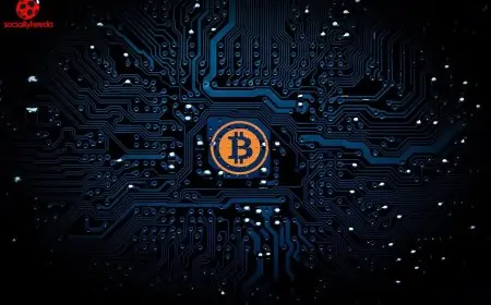 How to Grab Knowledge about profitable BTC Trading in Rhode Island?