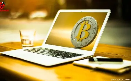 How to Grab knowledge about Profitable BTC Trading in Cameroon?