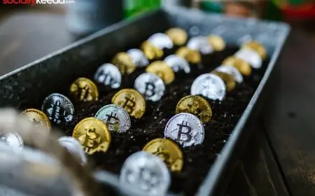 What impact may Bitcoin have on the world? Complete Guide