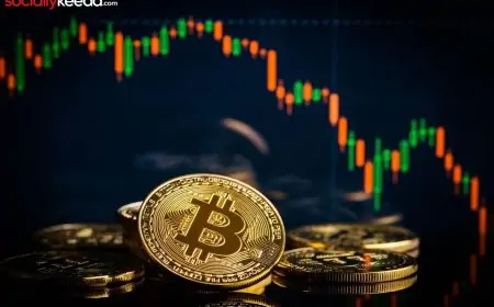 Fundamental Factors of Cryptocurrency Value Formation