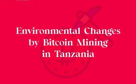 Environmental Changes by Bitcoin Mining in Tanzania