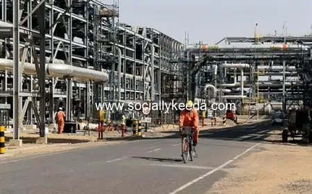 Cairn Energy Eyes Government Companies' Assets To Recover Money