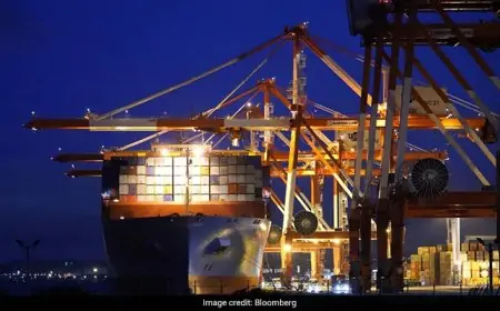 India-UAE Pact To Boost Trade To $100 Billion In 5 Years: Commerce Minister