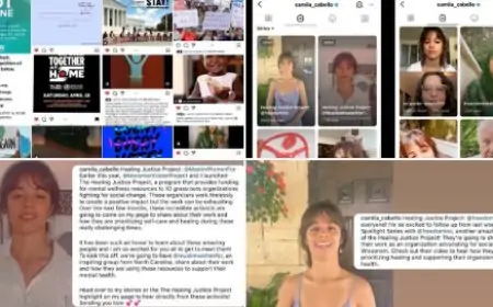 Camila Cabello Racist Rehab Tumblr Posts Resurfaced On Twitter & Social Media