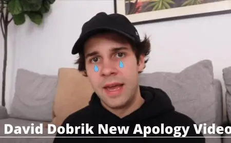 David Dobrik Second New Apology Video Response Trend Addresses Durte Dom Allegation