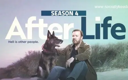 Has After Life Season 4 Been Renewed? When Will Season 3 Premiere On Netflix?