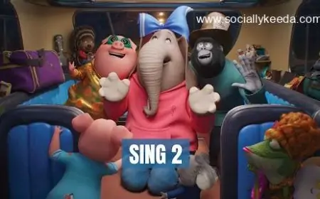 Where To Watch ‘Sing 2’ (2023) Online Free & Streaming Here’s How – Socially Keeda
