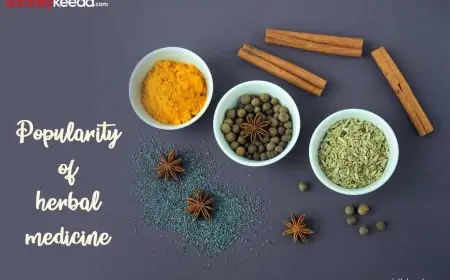 6 Reasons for the growing popularity of herbal medicine