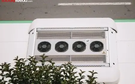 Windows to wellness: How proper ventilation enhances health in your home