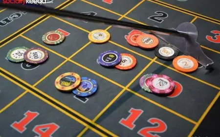 Navigating Aviachip's Live Dealer Games: Tips and Tricks