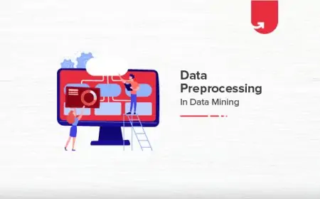 Data Preprocessing In Data Mining: Steps, Missing Value Imputation, Data Standardization