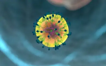 Individuals Recovering from COVID-19 Helpful for Sustained Cellular Immune Dysregulation: Study