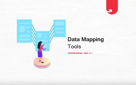 High 4 Most Used Knowledge Mapping Instruments You Ought to Get Your Palms On [2021]