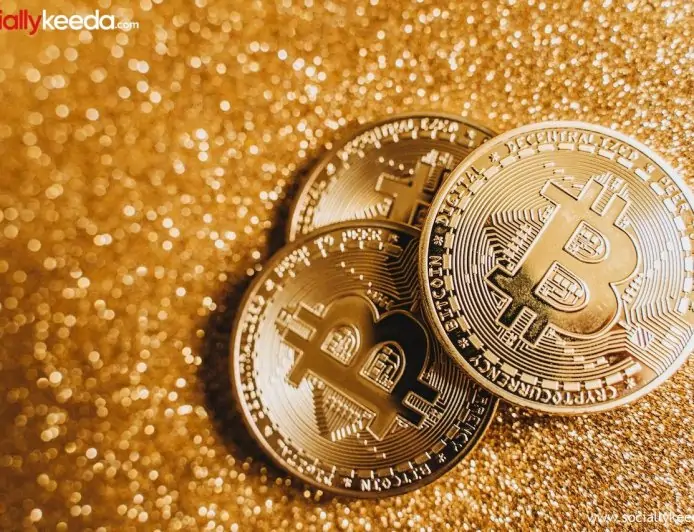 How is a New Cryptocurrency Born?