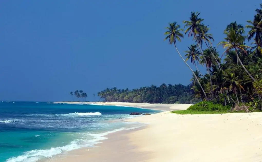 Sri Lanka reopens borders to international travelers