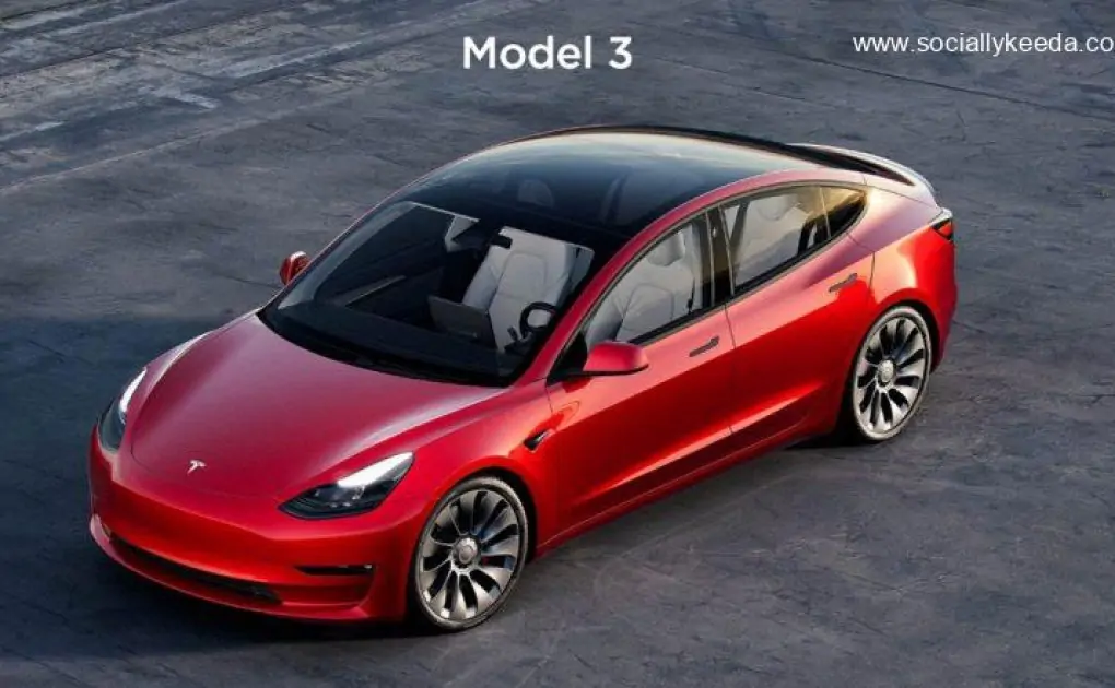 Elon Musk’s Tesla Hike Prices of Model 3 and Model Y for Rear Wheel Drive Variant in China