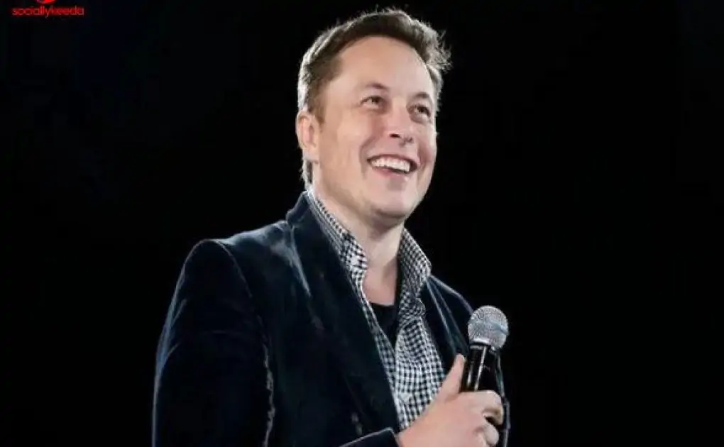 Tesla in India: Elon Musk Says ‘No Plant Where Sell of Imported Cars Not Allowed’