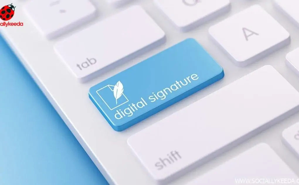 How to Choose a White Label ESignature Solution for MSPs