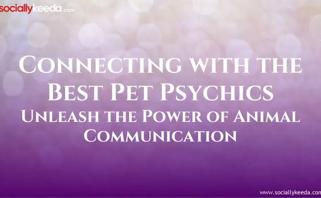 Connecting with the Best Pet Psychics