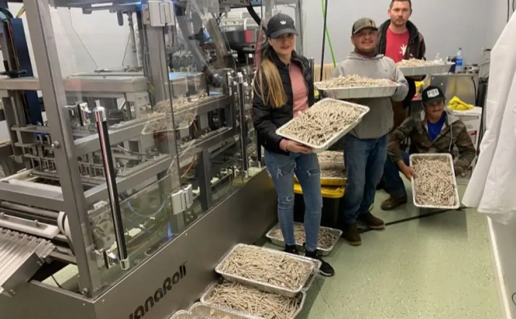 Automatic Pre-Roll Machines