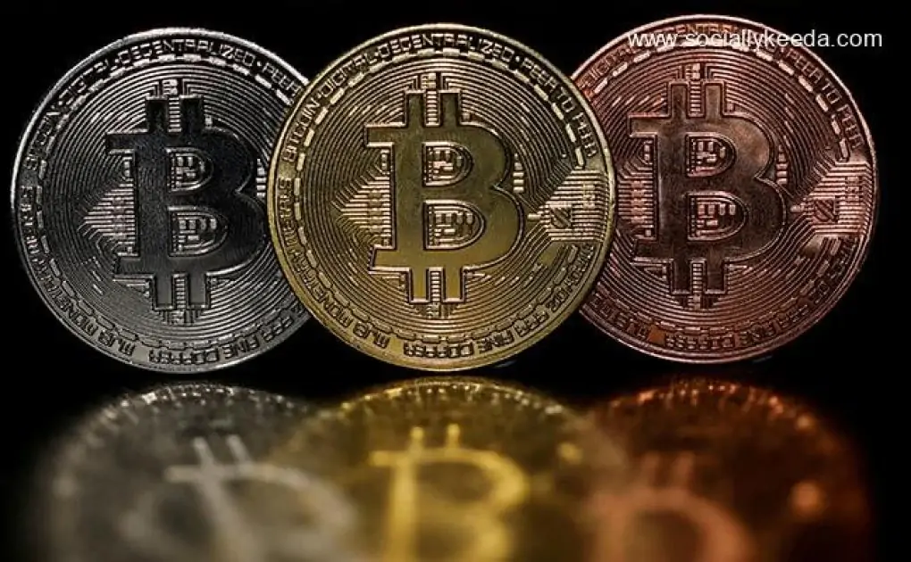 Why Bitcoin Prime Trading Bots Are Perfect For You ?,Why Bitcoin Prime Trading Bots Are Perfect For You ?