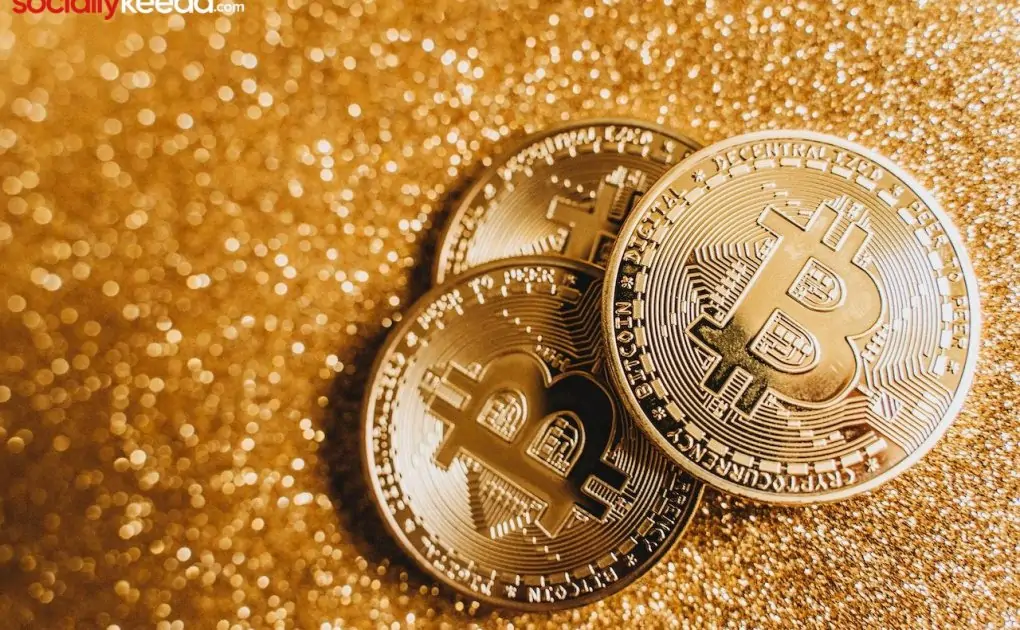 How is a New Cryptocurrency Born?